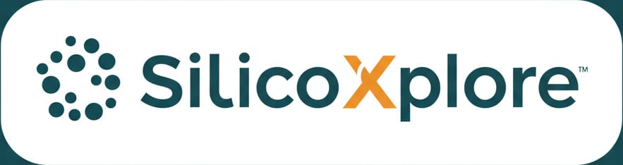 Silico Helpdesk Logo